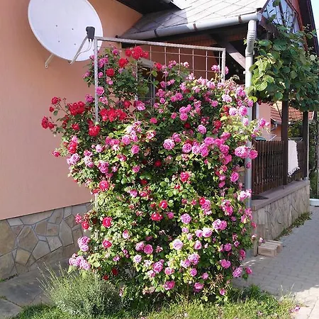 Valentin Vendeghaz Гостевой дом Балатонлелле