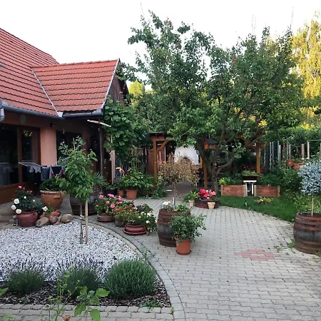 Valentin Vendeghaz 4*