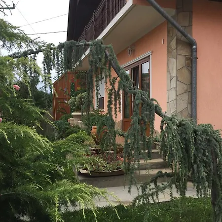 Valentin Vendeghaz Guest house *