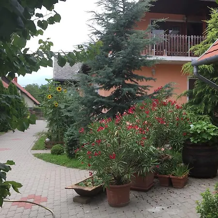 Valentin Vendeghaz Guest house