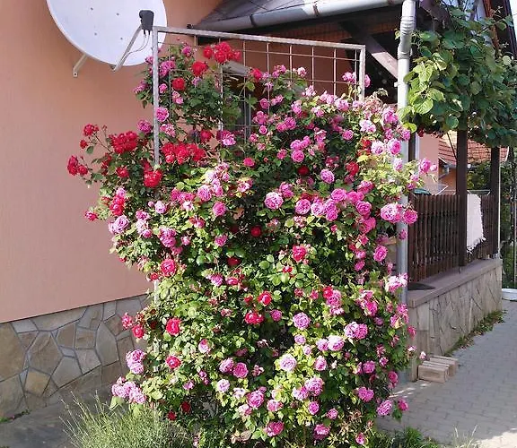 Valentin Maison d'hôtes Balatonlelle