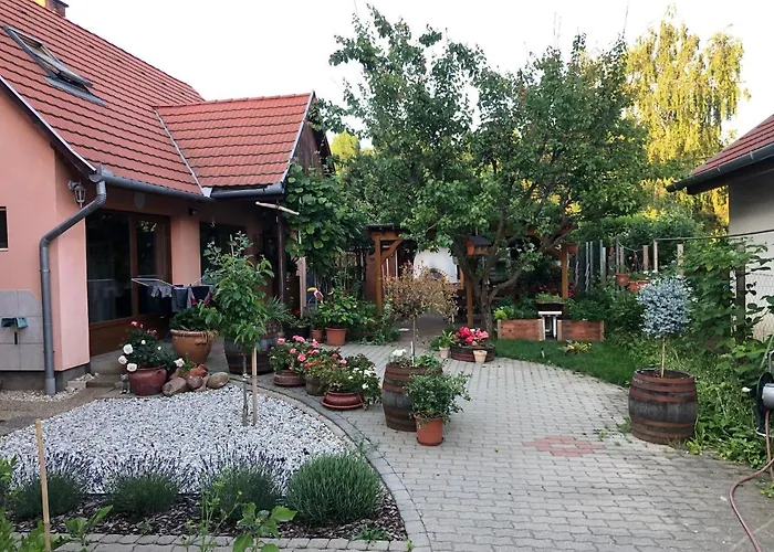 Valentin Vendeghaz 4*