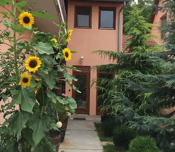 Valentin Balatonlelle